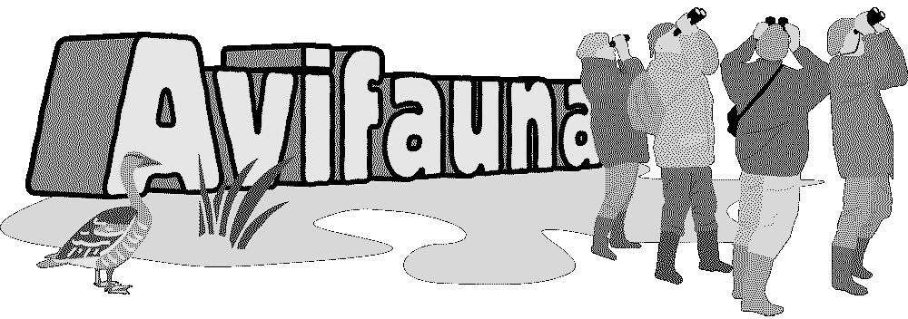 Logo SVN Avifauna